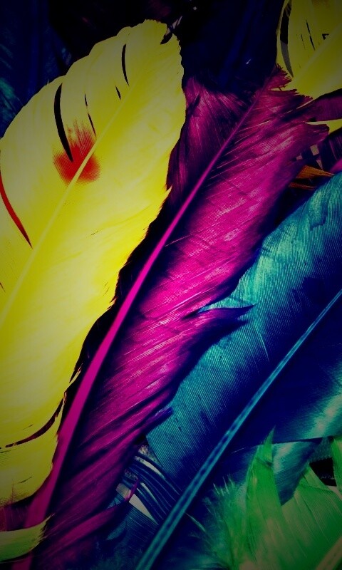 Разноцветные перья обои