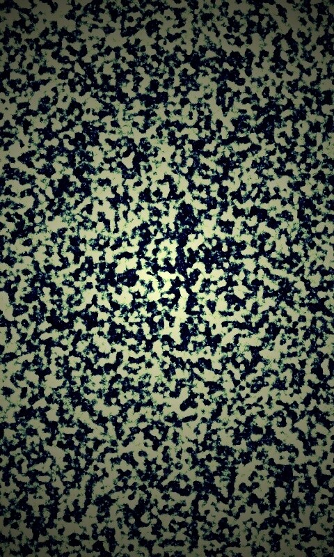 Черно-белый ковролин обои