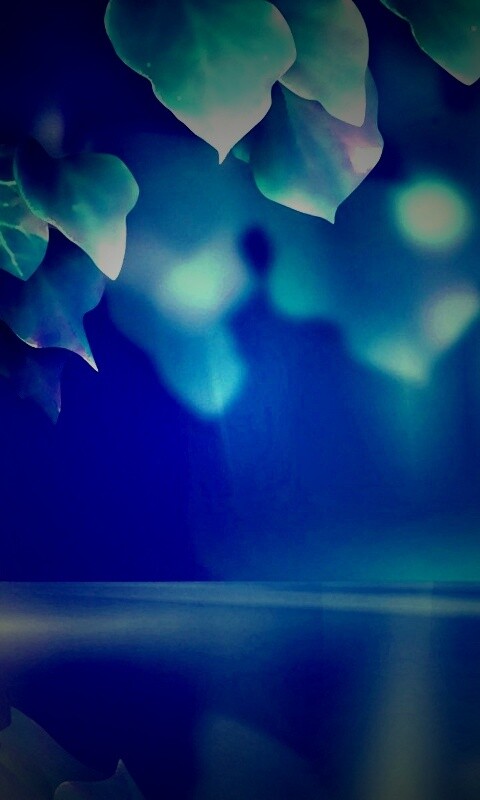 Синие листья обои