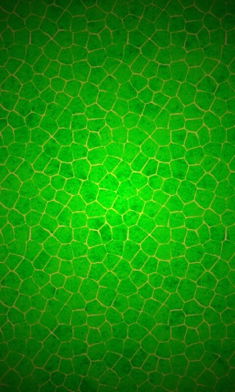 Зелёные сегменты обои