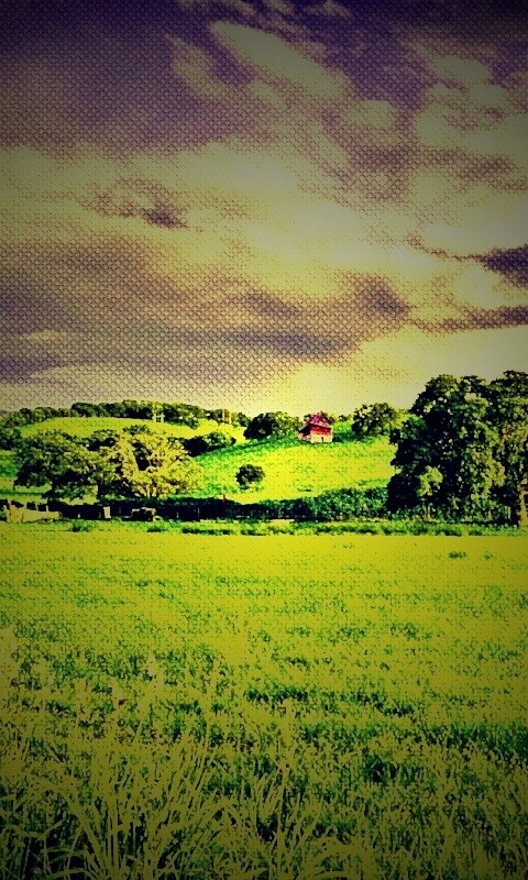 Домик на холмах обои