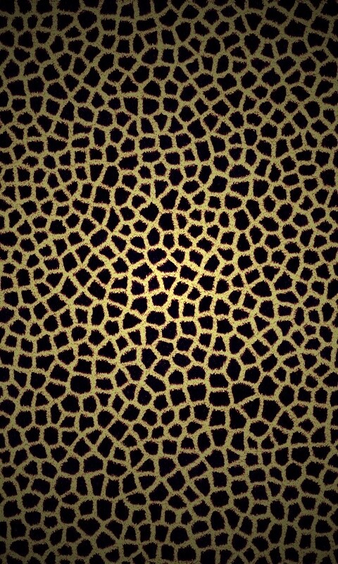 Текстура шкуры жирафа обои
