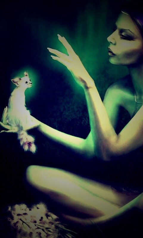 Почет и процветание обои