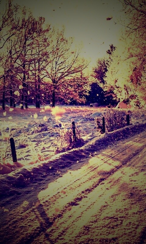 Снежная дорога залитая солнцем обои