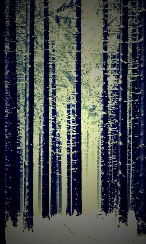 Зимний лес как штрихкод обои