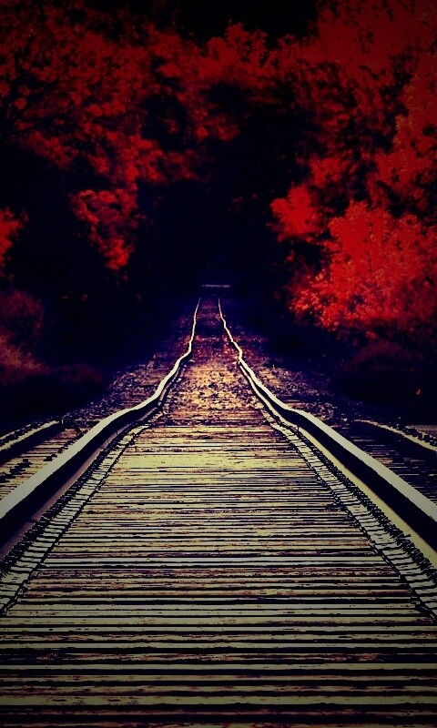 Железная дорога в осеннем лесу обои