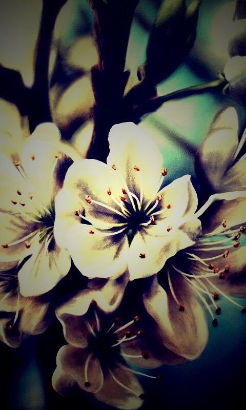 Яблоня в цвету картина обои