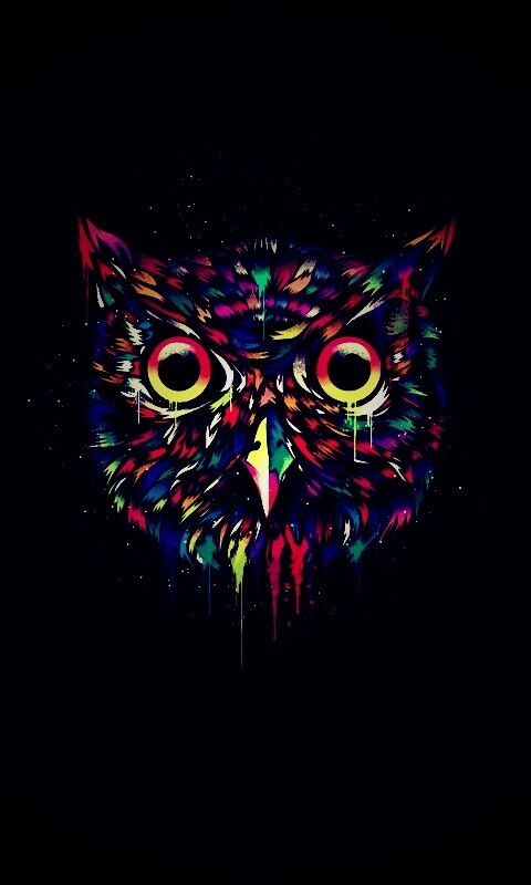 Векторная совиная голова обои