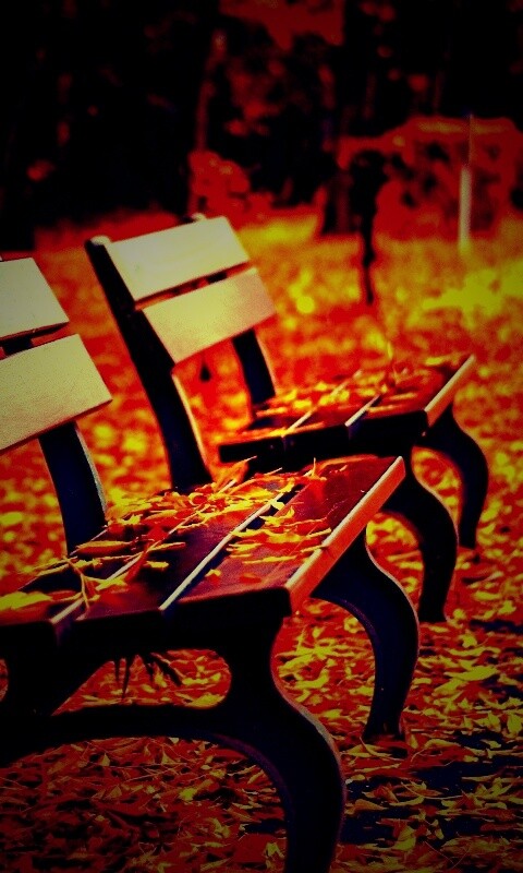 Лавочки в осеннем парке обои