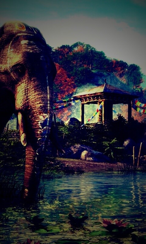 Слоники у воды обои