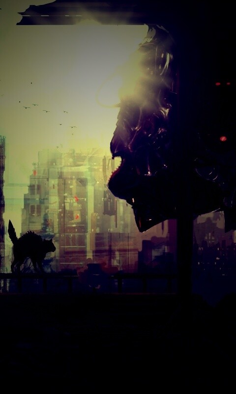 Кошкино удивление обои