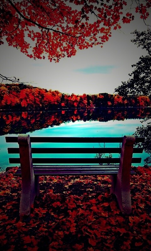 Вид на осеннее озеро обои