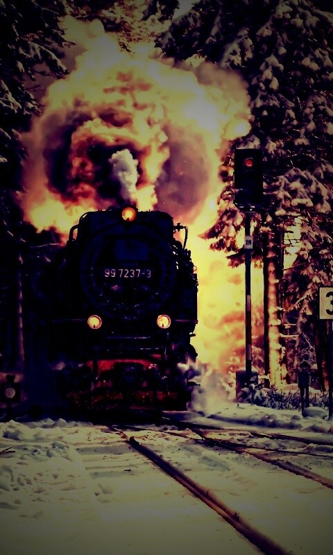 Паровоз в димнем лесу обои