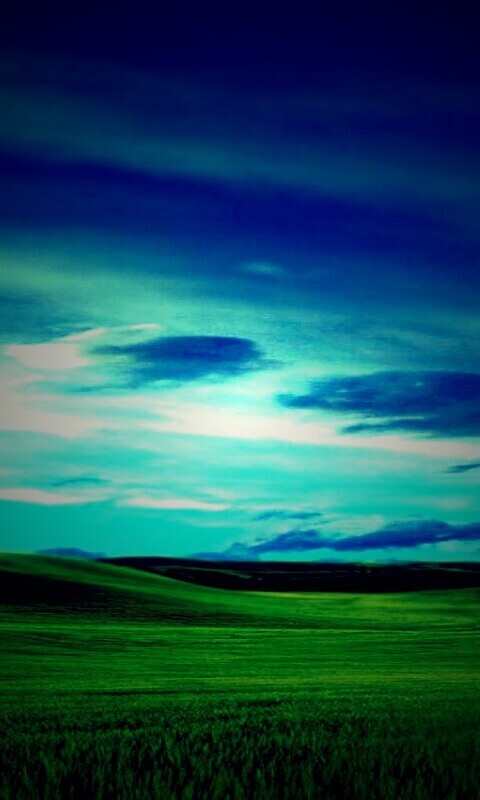 Зеленый луг обои