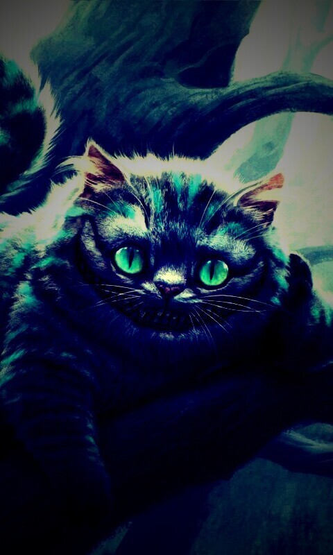 Чеширский кот обои