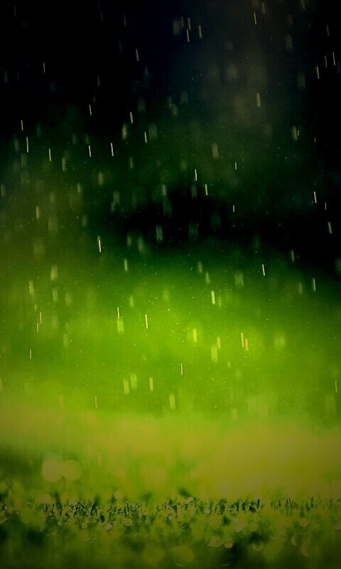 Трава под дождем обои