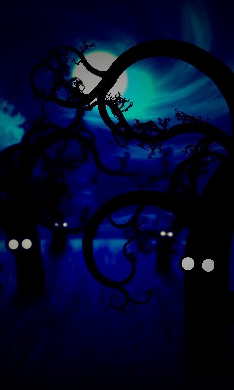 Страшно ночью в лесу обои