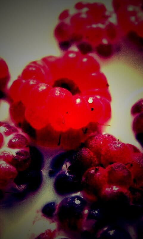 Малина в молоке обои