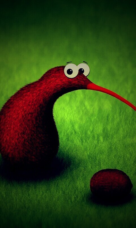 Киви и киви обои