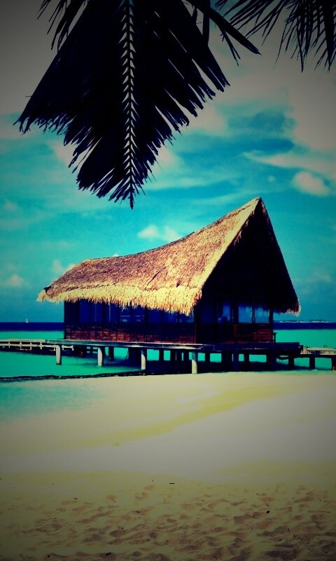 Бунгало обои