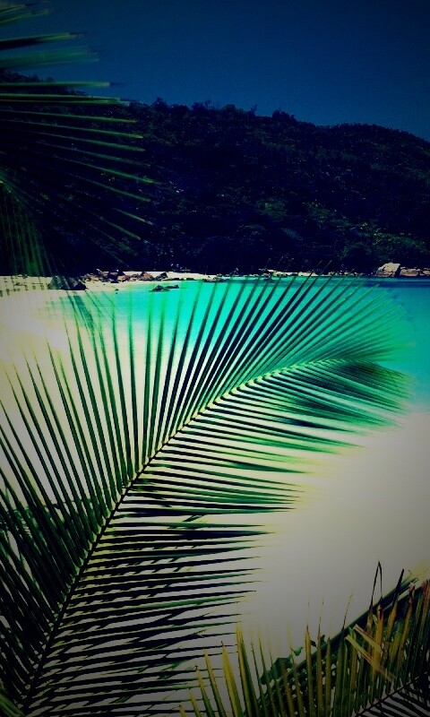 Лазурная лагуна обои