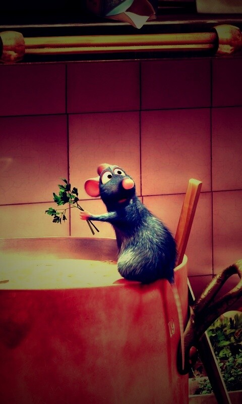 Рататуй варит суп обои