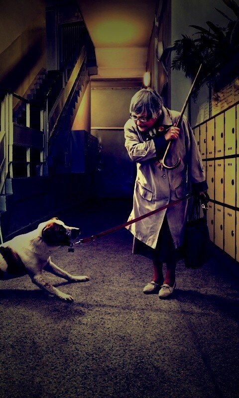 Непослушная собака обои