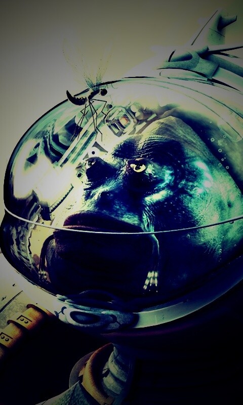 Инопланетянин и стрекоза обои