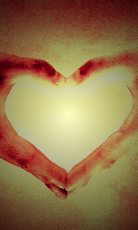 Сердце из сложенных рук обои