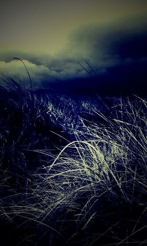 В ожидании шторма обои