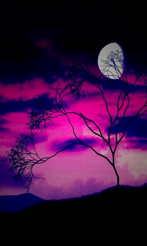 Фиолетовые небеса обои