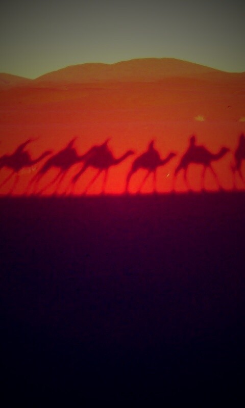 Караван обои