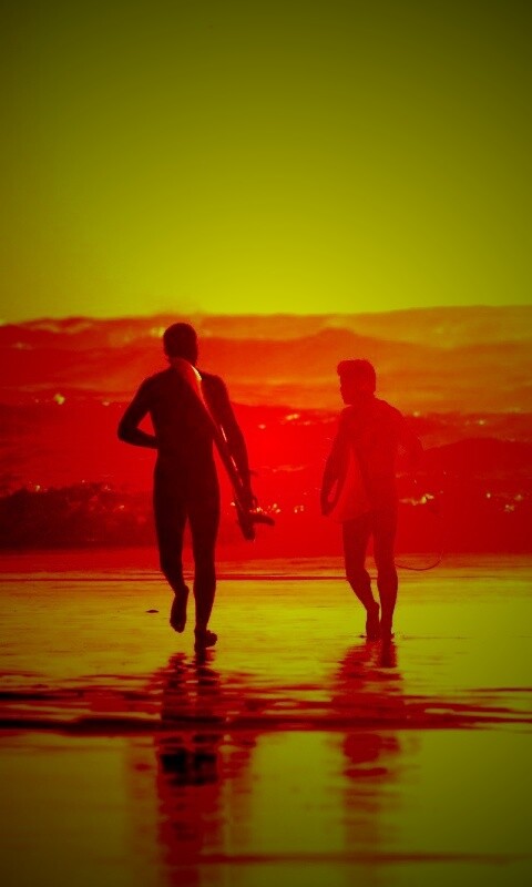 Серфингисты обои