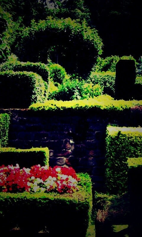 Декоративный сад обои