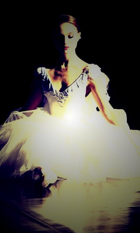 Черный лебедь обои