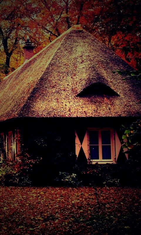 Домик в осеннем лесу обои