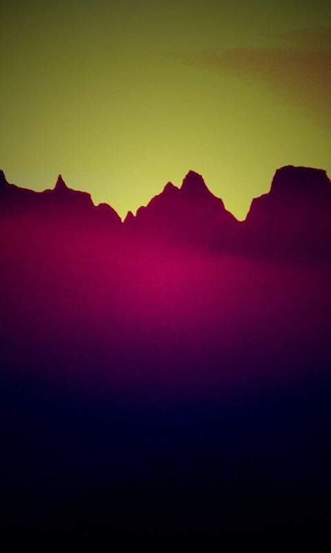 Вечер в национальном парке обои