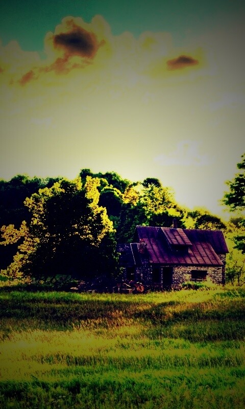 Домик в лесу обои