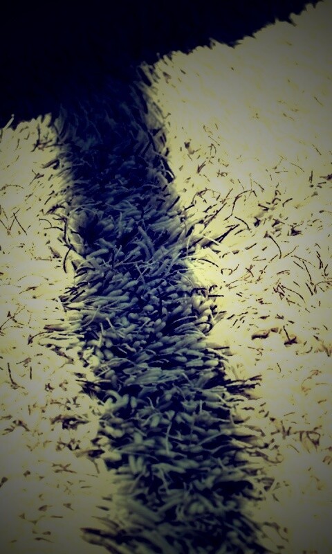 Книга на полу обои