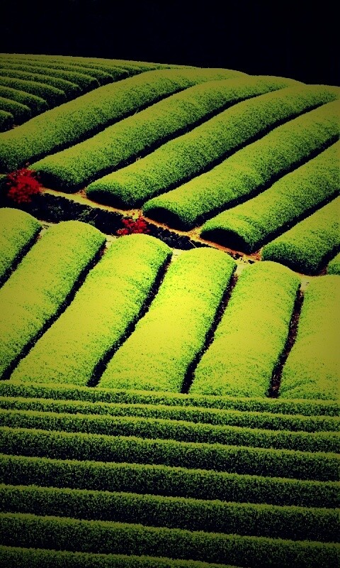 Красивые гряды обои