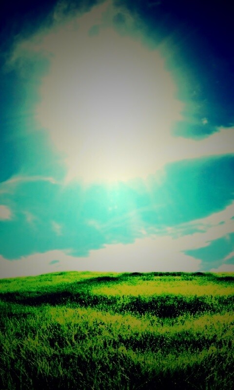 Солнце над холмом обои