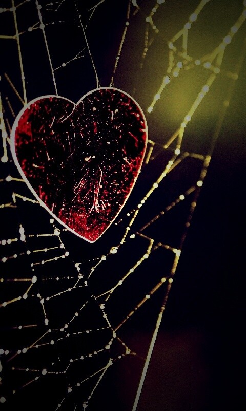 Запутавшаяся любовь.. обои