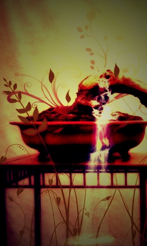 Карликовое дерево обои