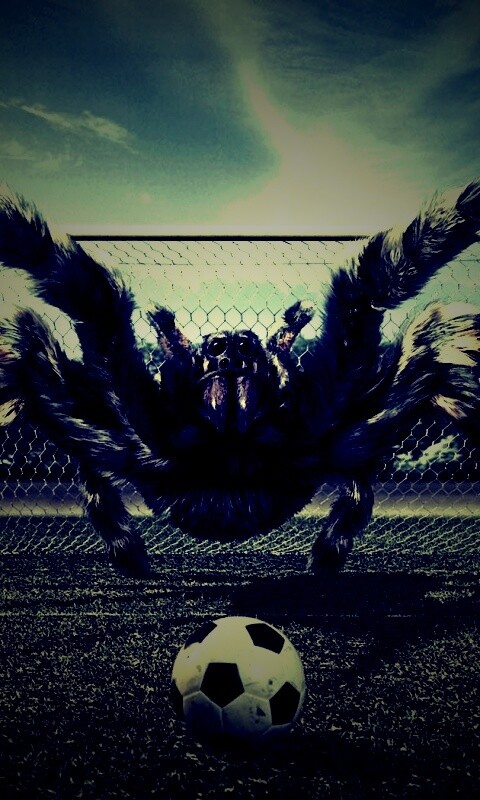 Вратарь обои