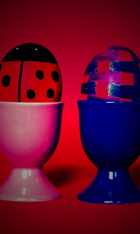 Кокушки обои