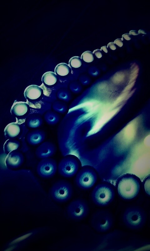 Щупальце обои