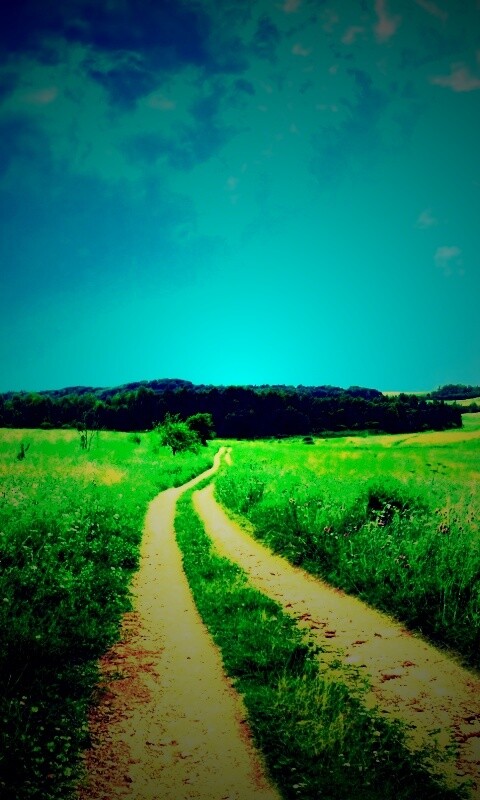 Дорога через луг обои