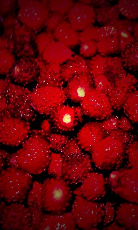 Земляника обои