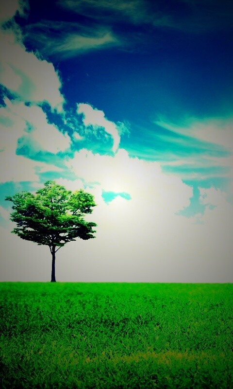 Один в целом мире обои