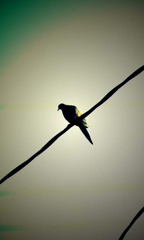 Птица на проводе обои